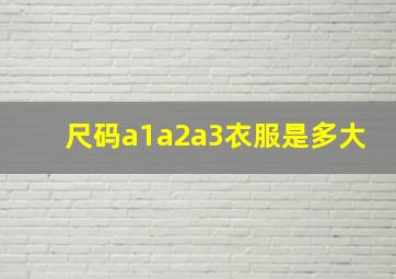 尺码a1a2a3衣服是多大