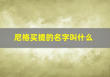 尼格买提的名字叫什么