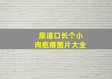 尿道口长个小肉疙瘩图片大全