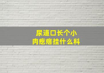 尿道口长个小肉疙瘩挂什么科