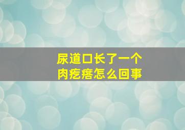 尿道口长了一个肉疙瘩怎么回事