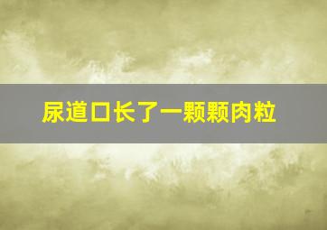 尿道口长了一颗颗肉粒