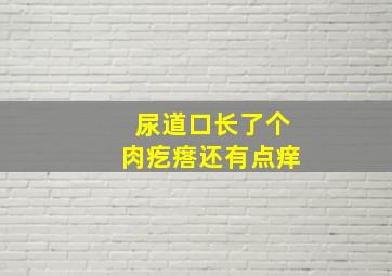 尿道口长了个肉疙瘩还有点痒