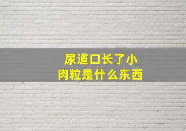 尿道口长了小肉粒是什么东西