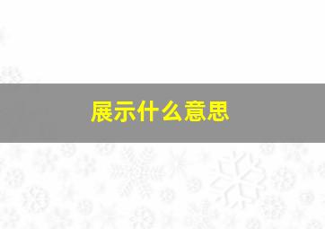 展示什么意思