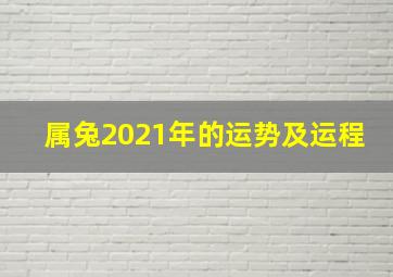 属兔2021年的运势及运程