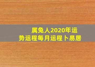 属兔人2020年运势运程每月运程卜易居