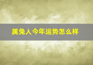 属兔人今年运势怎么样