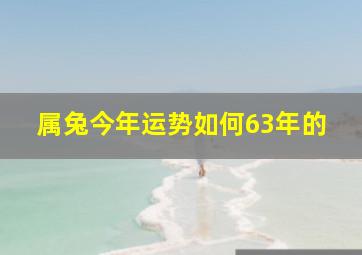 属兔今年运势如何63年的