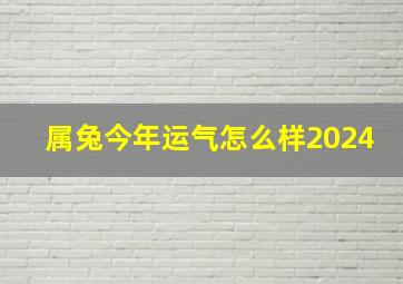 属兔今年运气怎么样2024