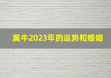 属牛2023年的运势和婚姻