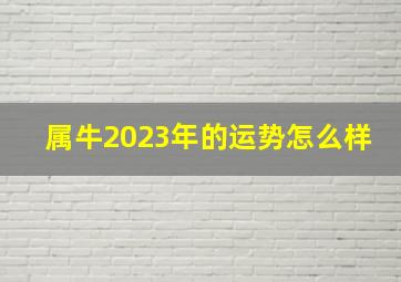 属牛2023年的运势怎么样