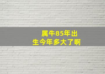 属牛85年出生今年多大了啊