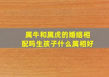 属牛和属虎的婚姻相配吗生孩子什么属相好