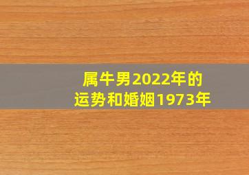 属牛男2022年的运势和婚姻1973年