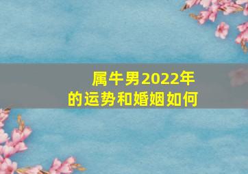 属牛男2022年的运势和婚姻如何