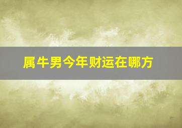 属牛男今年财运在哪方