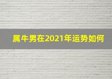 属牛男在2021年运势如何