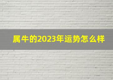 属牛的2023年运势怎么样