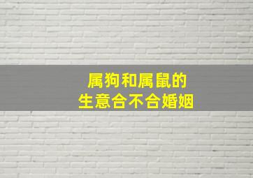 属狗和属鼠的生意合不合婚姻