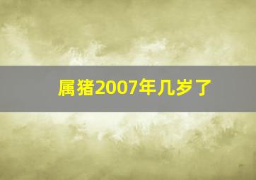 属猪2007年几岁了