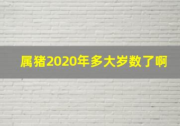 属猪2020年多大岁数了啊