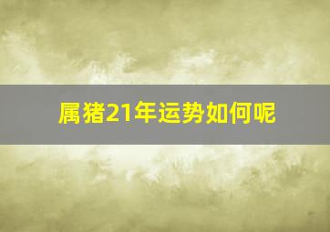 属猪21年运势如何呢