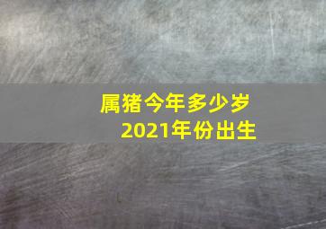 属猪今年多少岁2021年份出生