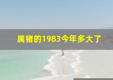 属猪的1983今年多大了