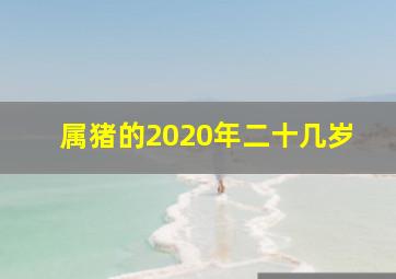 属猪的2020年二十几岁