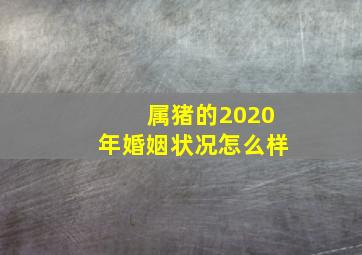 属猪的2020年婚姻状况怎么样