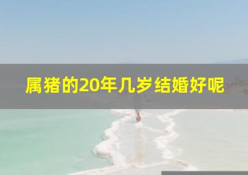 属猪的20年几岁结婚好呢