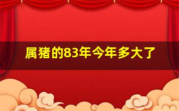 属猪的83年今年多大了