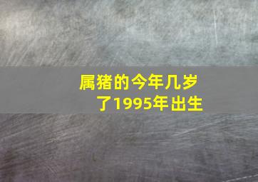 属猪的今年几岁了1995年出生