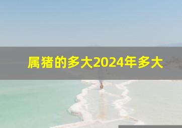 属猪的多大2024年多大