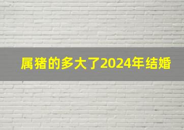 属猪的多大了2024年结婚