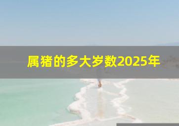 属猪的多大岁数2025年