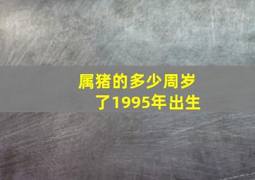 属猪的多少周岁了1995年出生