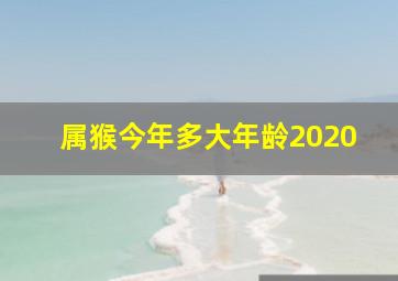 属猴今年多大年龄2020