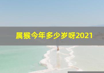 属猴今年多少岁呀2021