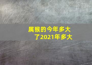 属猴的今年多大了2021年多大