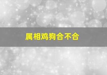 属相鸡狗合不合