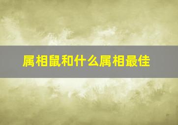 属相鼠和什么属相最佳