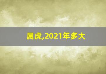 属虎,2021年多大