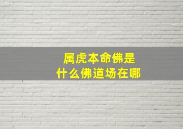 属虎本命佛是什么佛道场在哪