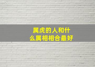 属虎的人和什么属相相合最好