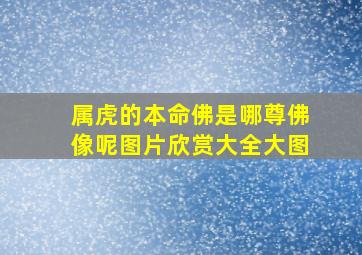 属虎的本命佛是哪尊佛像呢图片欣赏大全大图