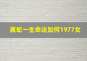 属蛇一生命运如何1977女