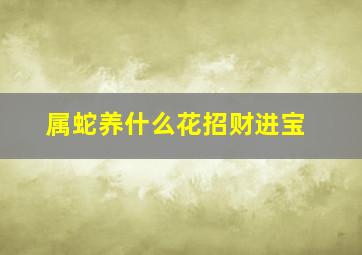 属蛇养什么花招财进宝