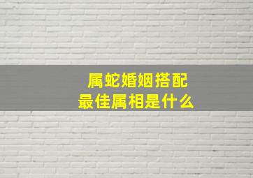 属蛇婚姻搭配最佳属相是什么